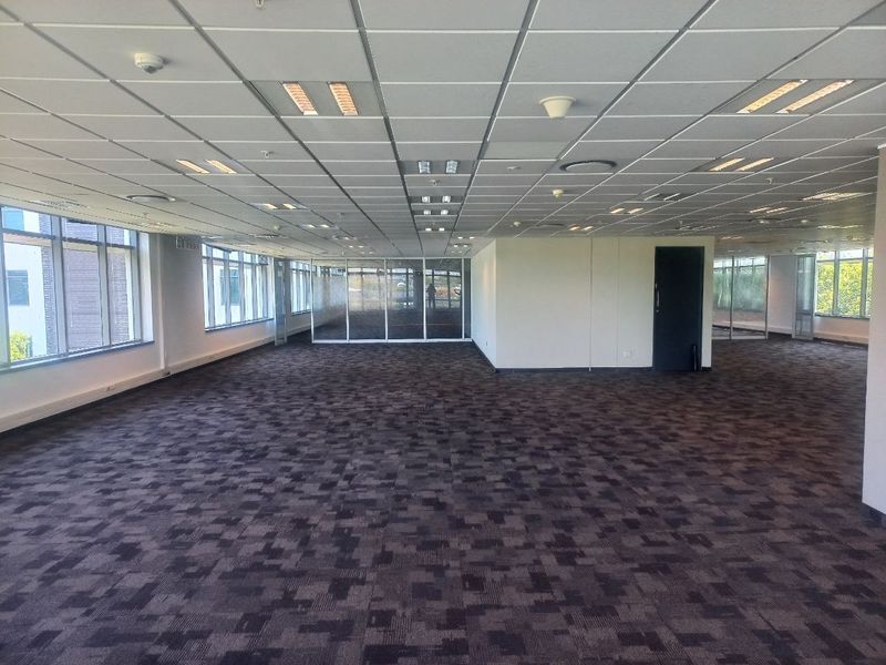 Spacious open-plan office area featuring suspended ceilings, recessed lighting, carpet tiles, and large windows providing ample natural light and glass partition walls.