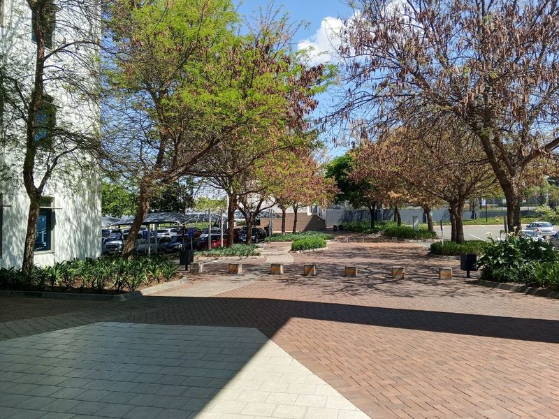 A well-maintained office exterior featuring a paved driveway, landscaped garden areas, and covered parking facilities.