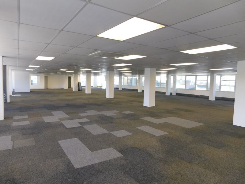 A spacious, open-plan office area featuring a suspended ceiling with recessed lighting, structural columns, and patterned carpet tiles throughout the floor.