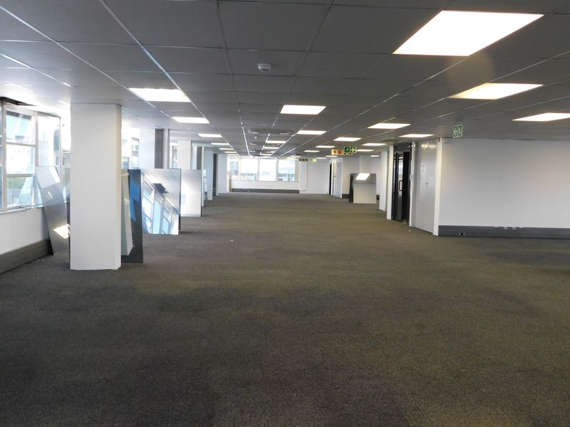 A spacious, open-plan office area featuring a suspended ceiling with recessed lighting, large windows for natural light, and neutral carpeted flooring.