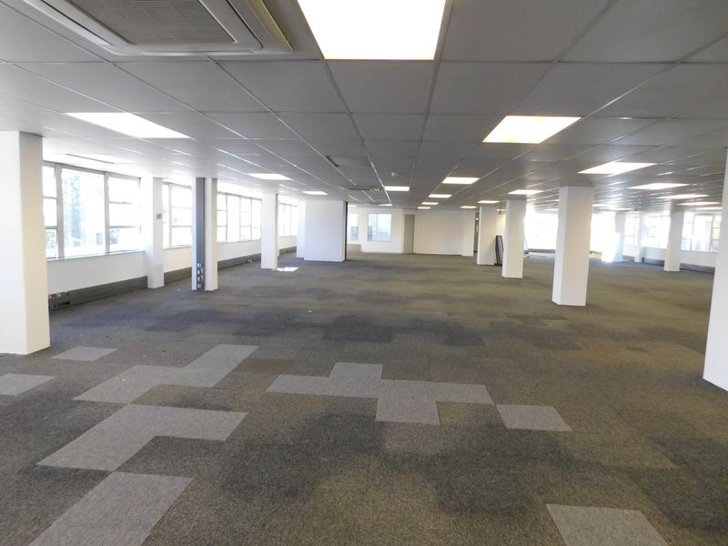 A spacious, open-plan office area featuring suspended ceilings, recessed lighting, and structural columns, currently vacant and ready for custom fit-out.