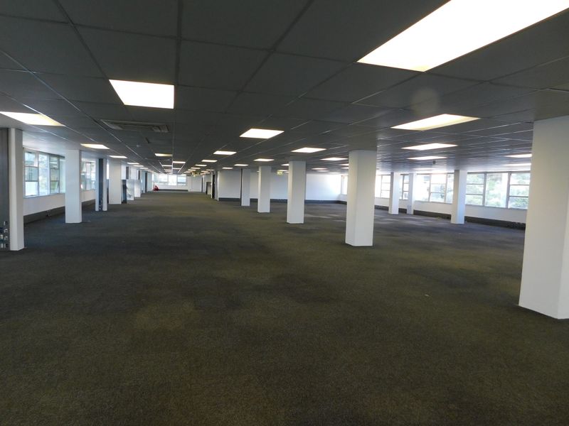 A large, open-plan office space featuring a suspended ceiling with recessed lighting, structural columns, and expansive windows providing ample natural light.