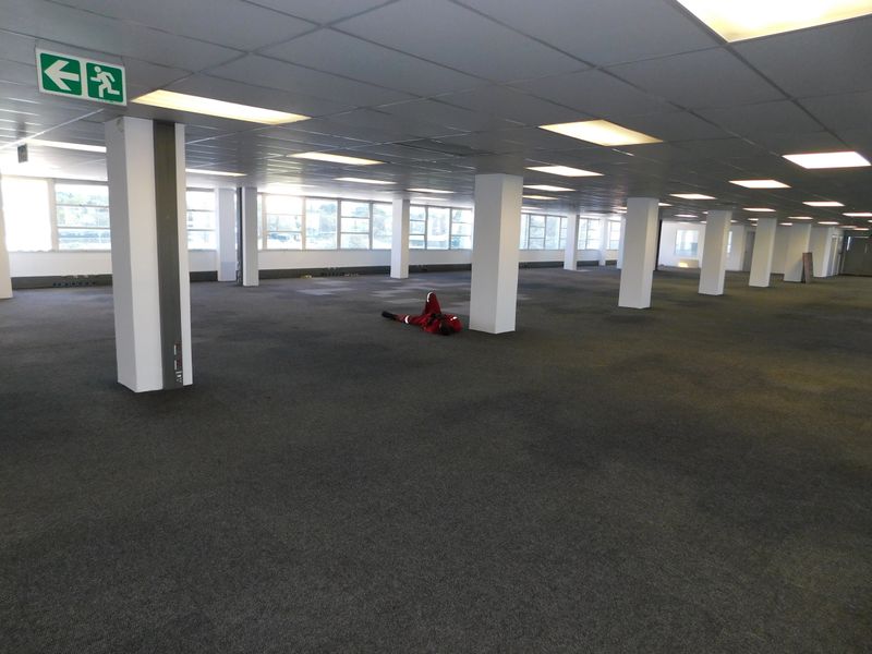 A large, open-plan office space featuring suspended ceilings, recessed lighting, structural columns, and expansive windows providing ample natural light.