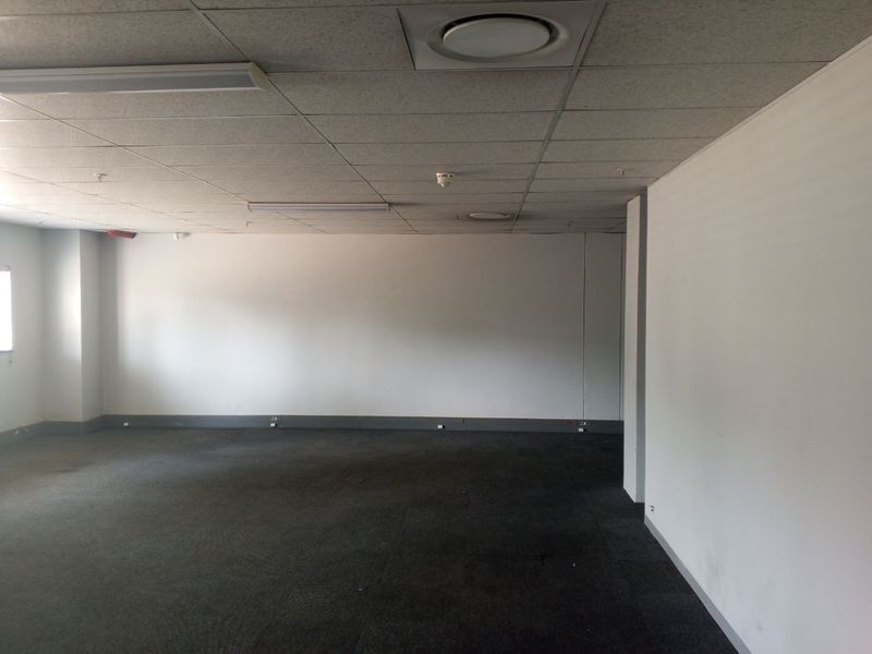 An empty, open-plan office space featuring a suspended ceiling, fluorescent lighting, and carpeted flooring, suitable for various commercial or industrial business configurations.