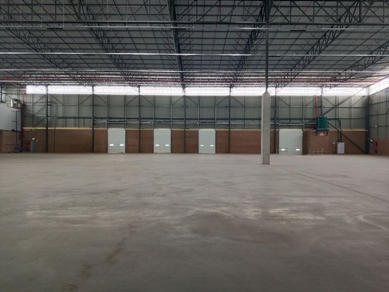 Spacious industrial warehouse featuring high ceilings with exposed steel trusses, polished concrete flooring, multiple roller shutter doors, and integrated fire sprinkler systems.