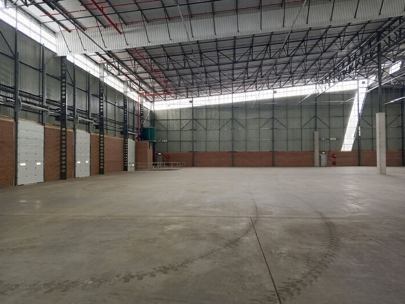 Spacious industrial warehouse featuring high ceilings, exposed steel trusses, concrete flooring, and multiple roller shutter doors for efficient logistics and storage operations.