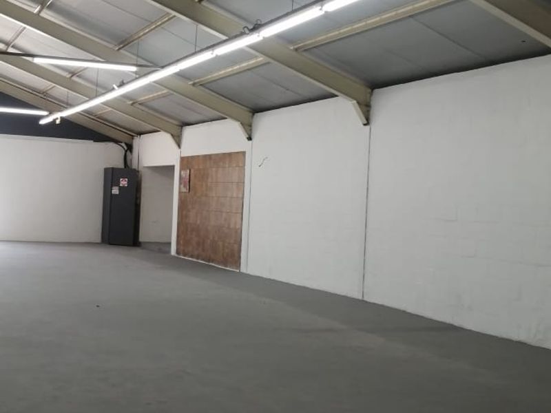 Spacious open-plan retail or utility area featuring high ceilings with exposed steel rafters, fluorescent lighting, and durable concrete flooring.