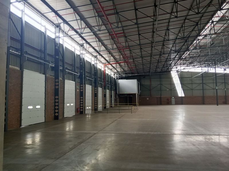 Spacious industrial warehouse featuring high-clearance steel roof trusses, polished concrete flooring, multiple roller shutter doors, and an integrated fire sprinkler system.