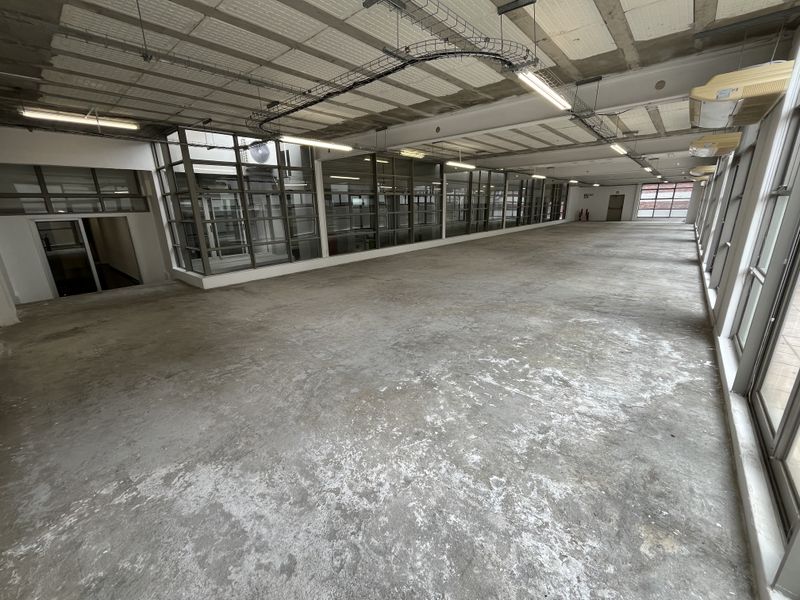 Expansive and Adaptable, Light-Filled Office. Upper Eastside, Woodstock - Photo 8