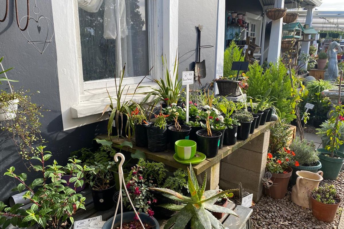 Nursery for sale - Photo 3