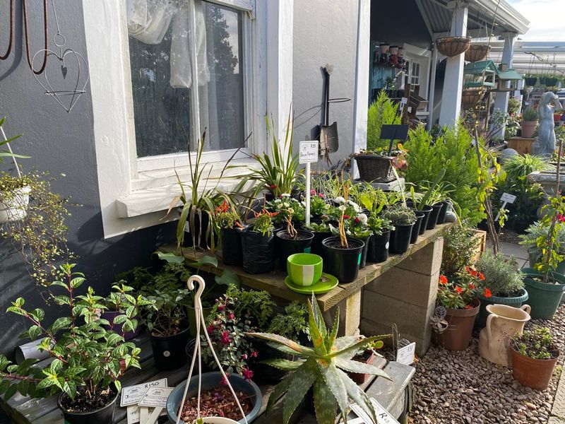 Nursery for sale - Photo 3