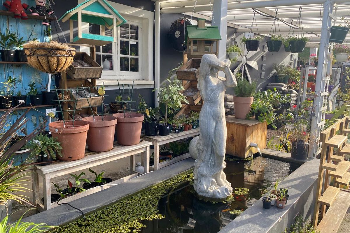 Nursery for sale - Photo 5