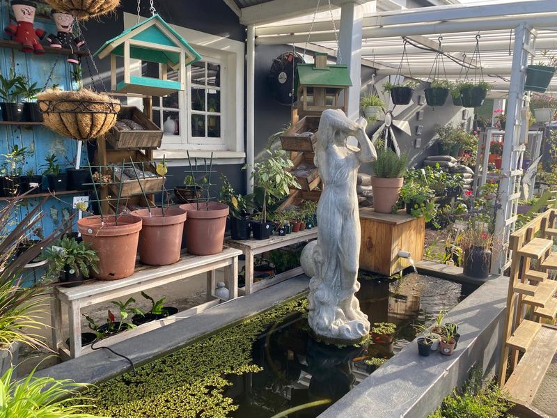 Nursery for sale - Photo 5