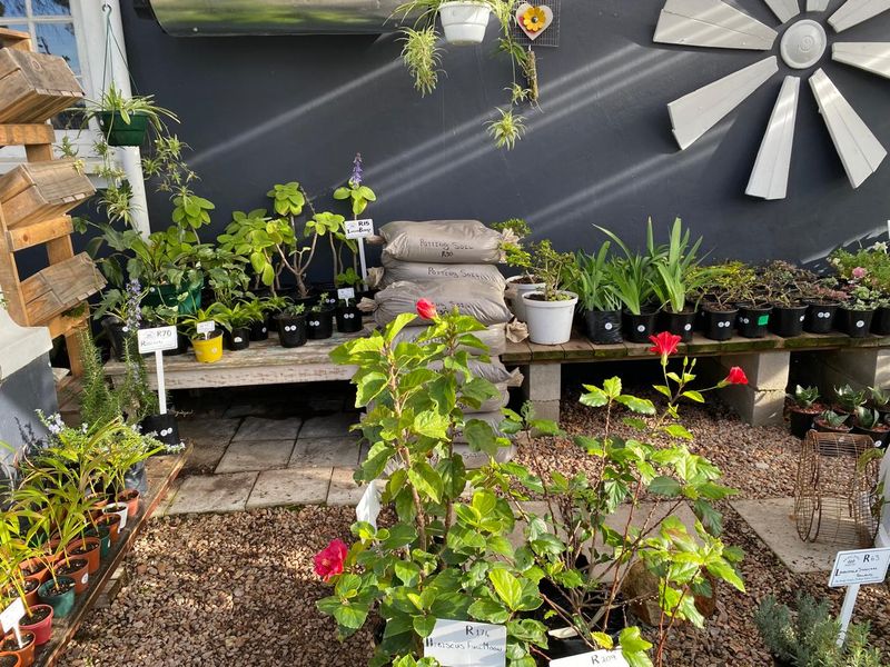 Nursery for sale - Photo 10