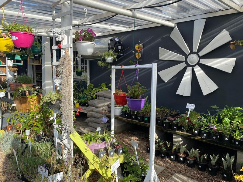 Nursery for sale - Photo 9