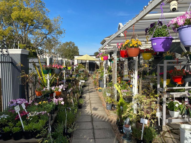 Nursery for sale - Photo 8