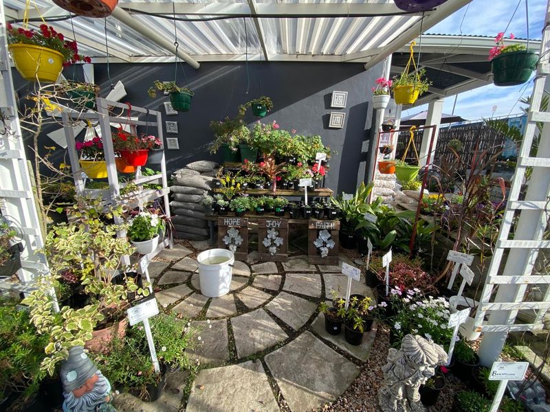 Nursery for sale - Photo 6