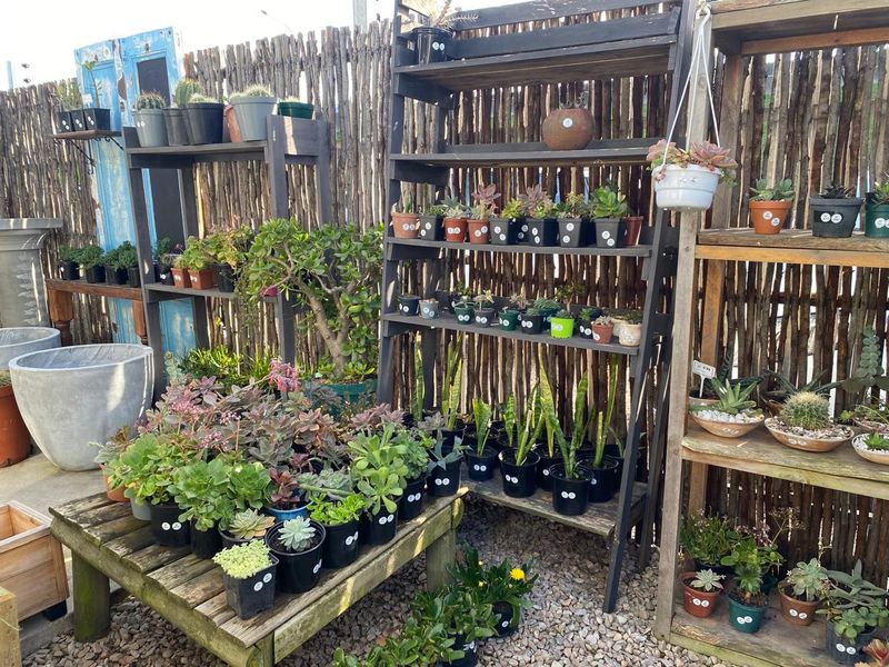 Nursery for sale - Photo 7