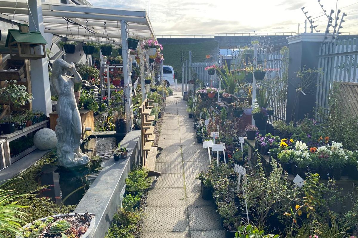 Nursery for sale - Photo 2