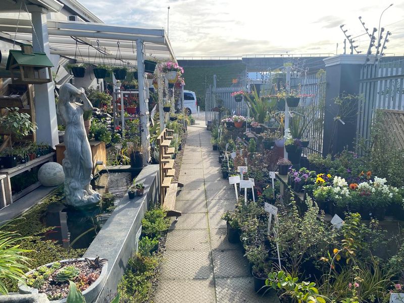 Nursery for sale - Photo 2