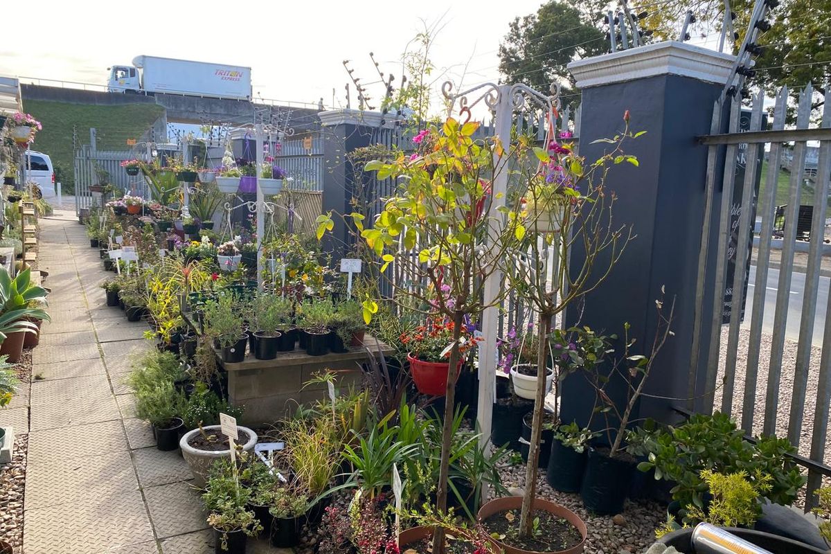 Nursery for sale - Photo 4