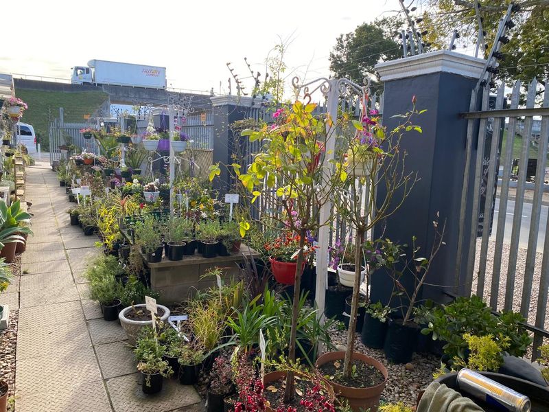 Nursery for sale - Photo 4