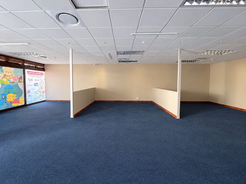 An open-plan retail space featuring a suspended ceiling, recessed lighting, and blue carpet flooring with partial partition walls.