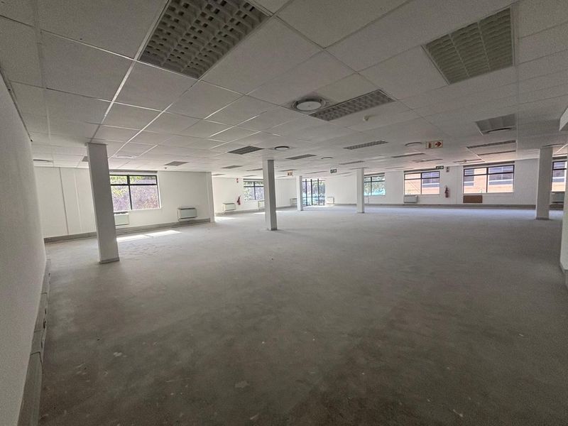 346 m2 First Floor Office with Views – Plattekloof Office Park - Photo 4