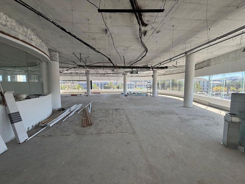 840m2 Premium Office Space to Let | Bloemhof Building, Tyger Valley - Photo 7