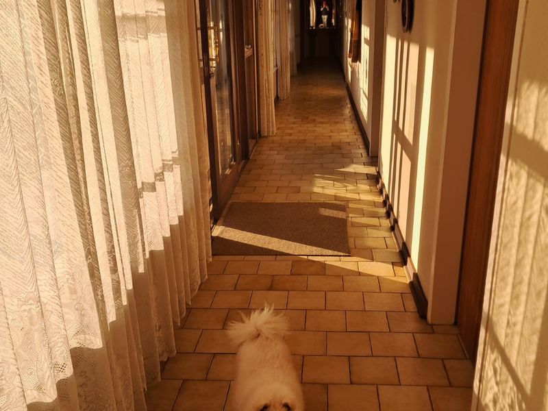 Grand lifestyle Approach - Photo 7