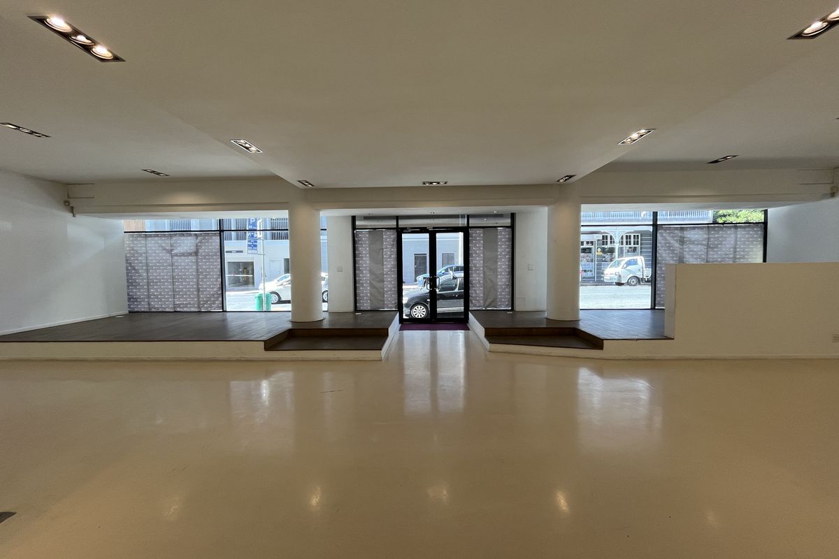 Iconic Loop Street Retail. High-Exposure Showroom Opportunity on Bree - Photo 5