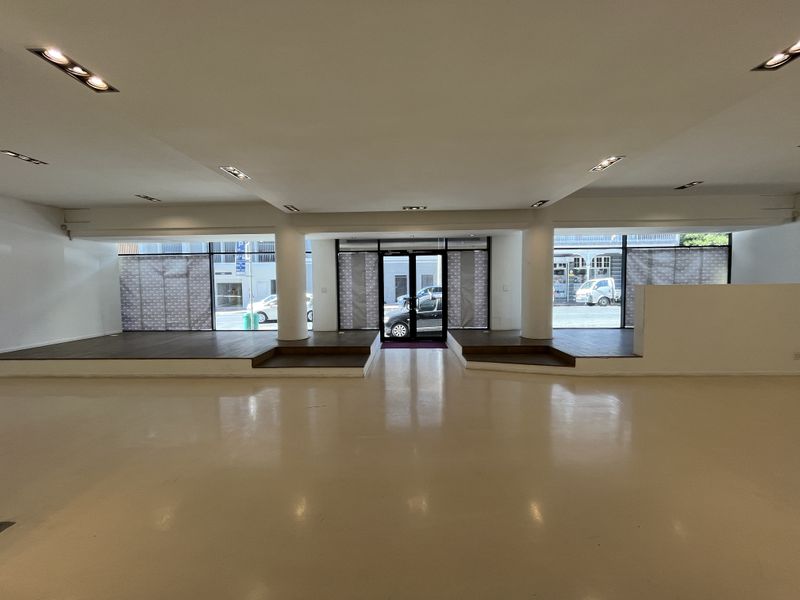 Iconic Loop Street Retail. High-Exposure Showroom Opportunity on Bree - Photo 5