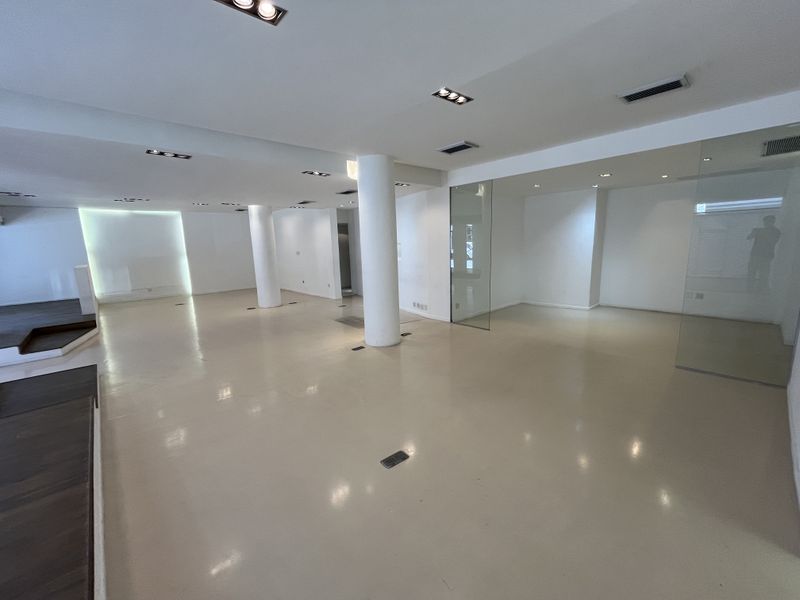 Iconic Loop Street Retail. High-Exposure Showroom Opportunity on Bree - Photo 2