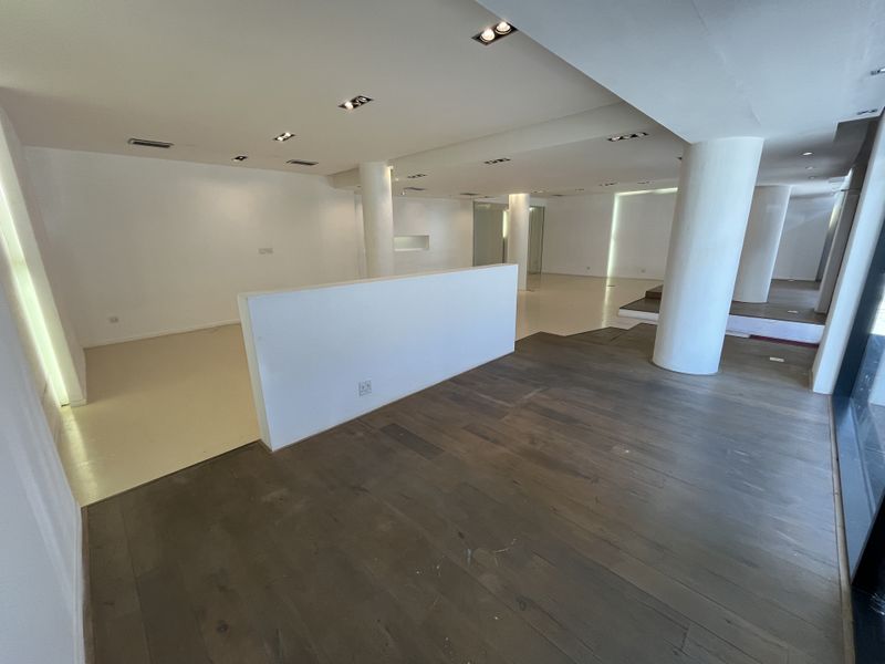 Iconic Loop Street Retail. High-Exposure Showroom Opportunity on Bree - Photo 8