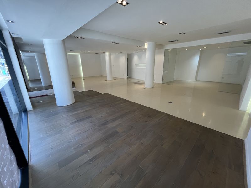 Iconic Loop Street Retail. High-Exposure Showroom Opportunity on Bree - Photo 7