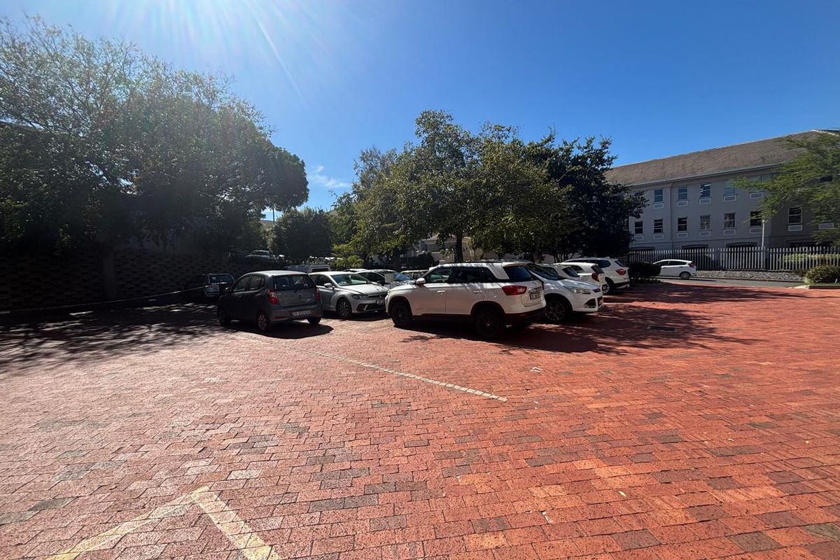 A paved outdoor parking area serving the office building, featuring established trees and clear demarcated parking bays.