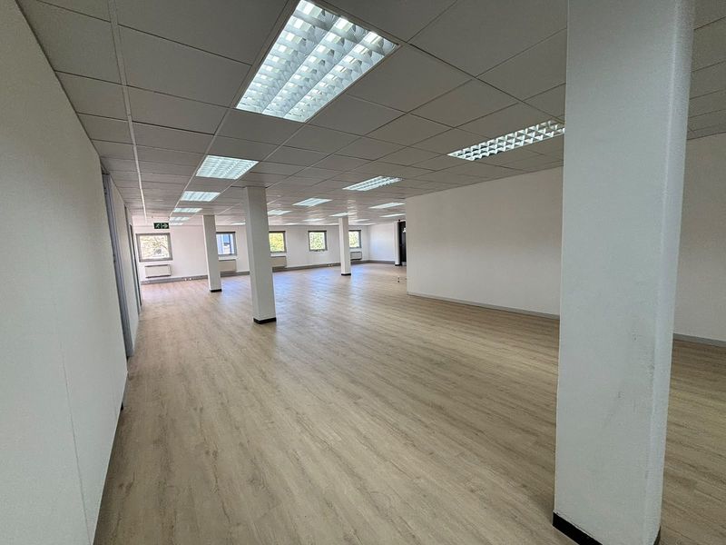 Spacious, open-plan office area featuring modern laminate flooring, suspended ceilings with recessed lighting, and multiple windows providing natural light.
