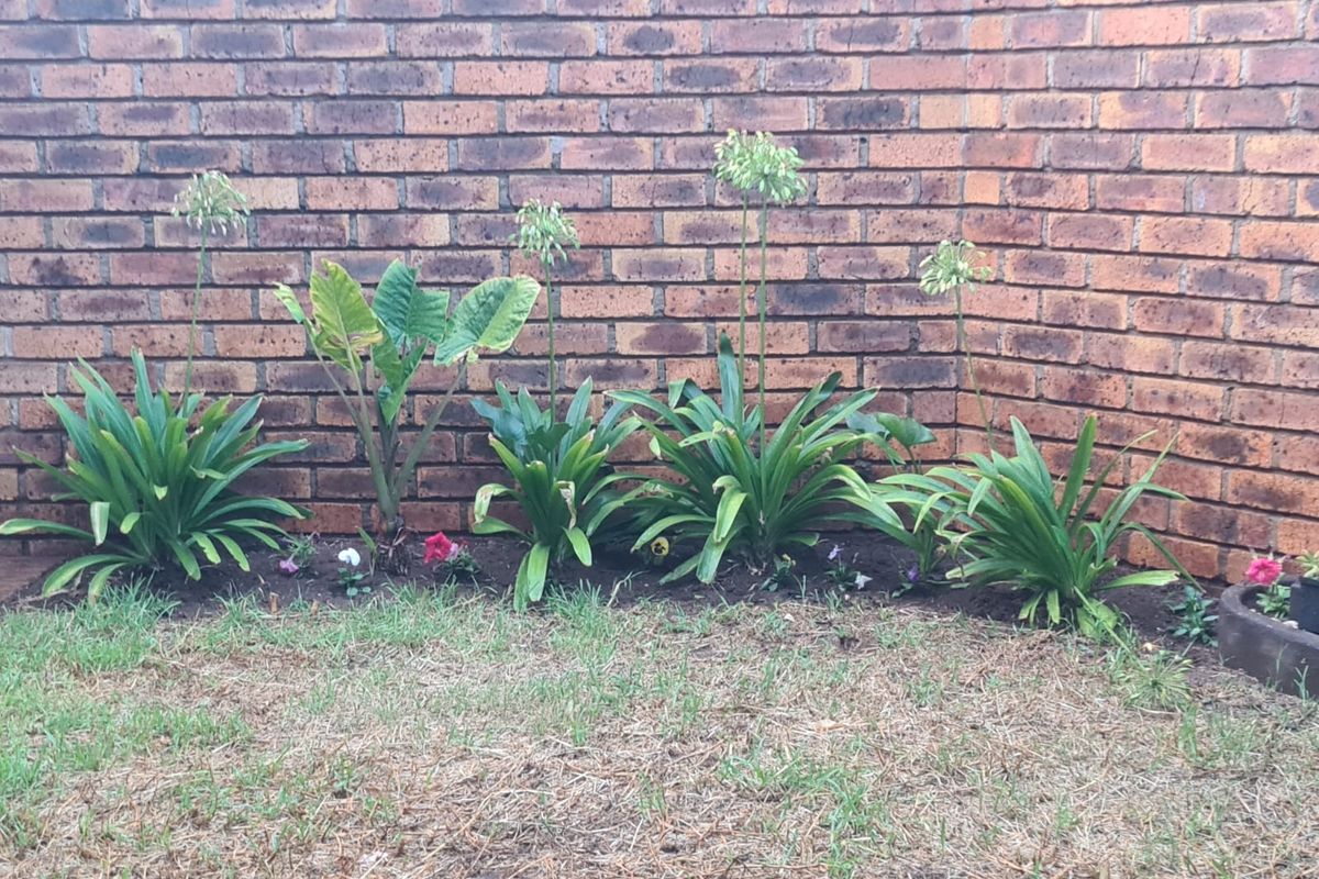 Great 2 bedroom unit with big living space - Photo 3