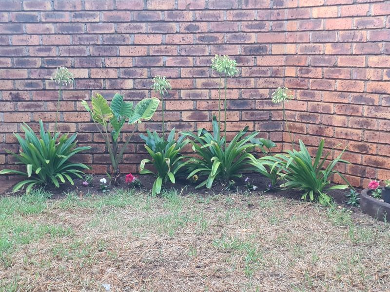 Great 2 bedroom unit with big living space - Photo 3