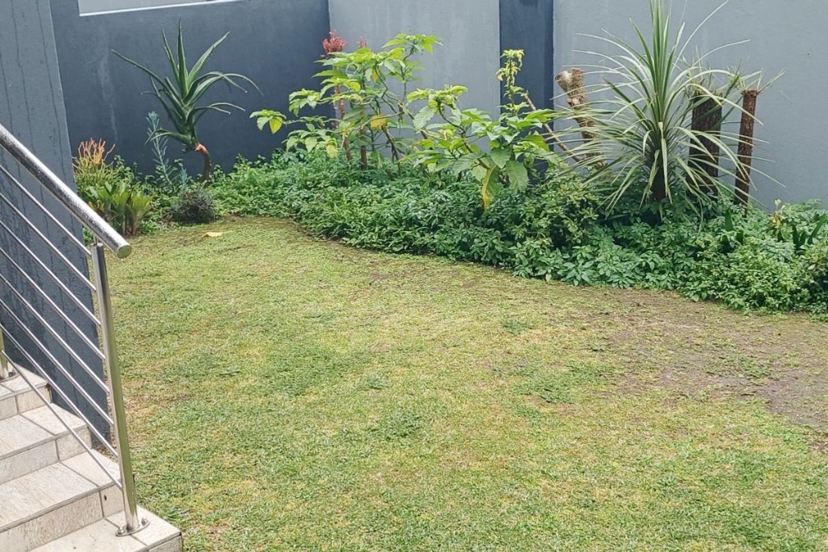 A private rear garden featuring a tiled staircase with stainless steel balustrades, leading down to a lawn area with established garden beds.
