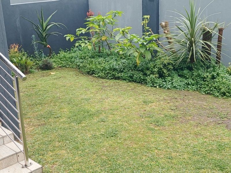 A private rear garden featuring a tiled staircase with stainless steel balustrades, leading down to a lawn area with established garden beds.