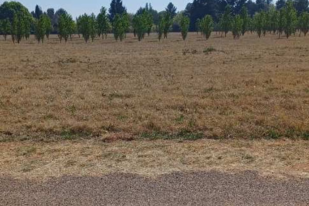 Large Stand with lovely views in Henley on Klip - Photo 4