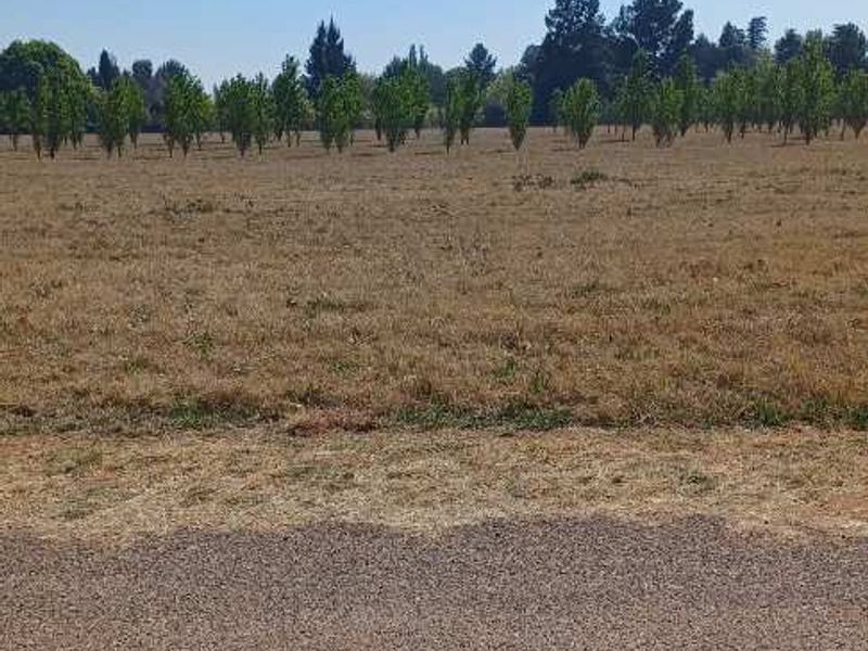 Large Stand with lovely views in Henley on Klip - Photo 4