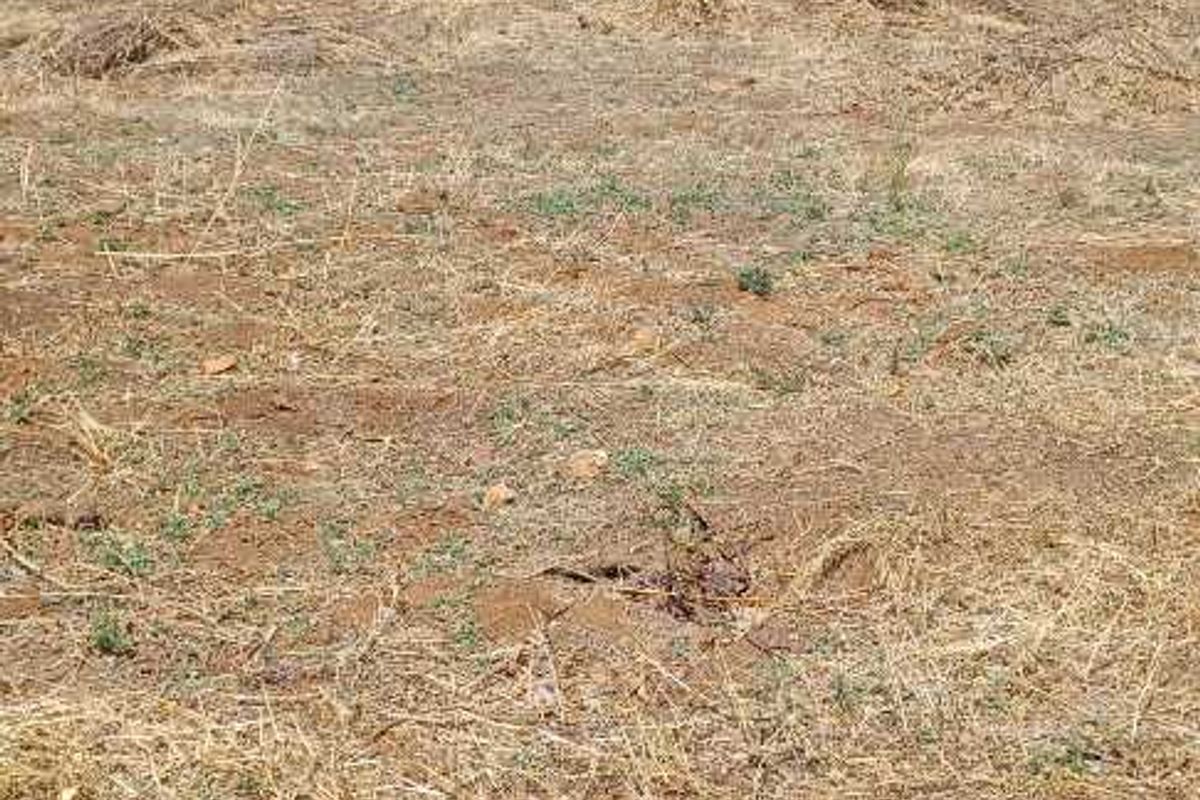 Large Stand with lovely views in Henley on Klip - Photo 3