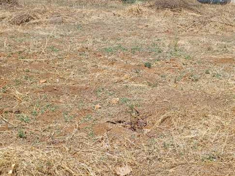 Large Stand with lovely views in Henley on Klip - Photo 3