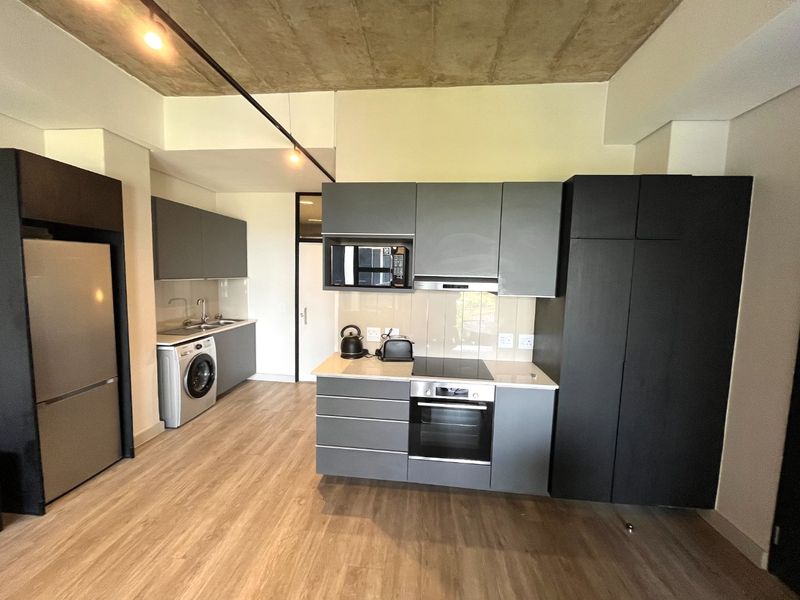 Partly Furnished One Bed One Bath - Photo 4