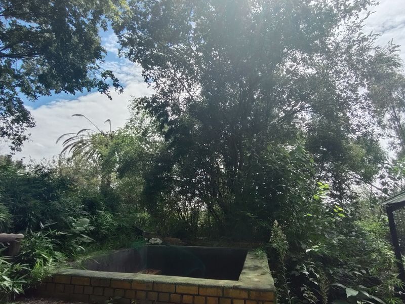 Lifestyle gem near town - Photo 10