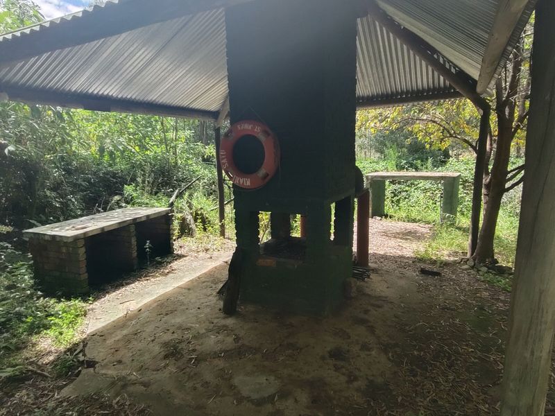 Lifestyle gem near town - Photo 8