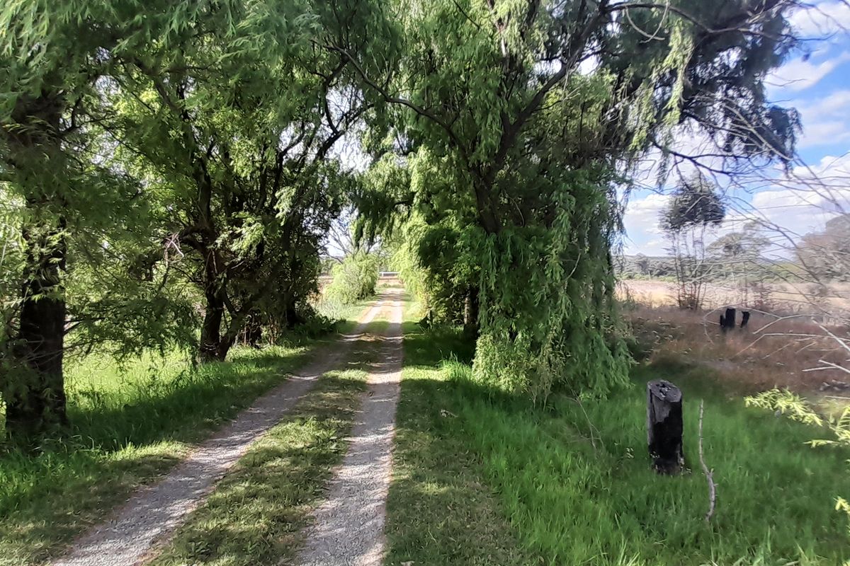 Lifestyle gem near town - Photo 3