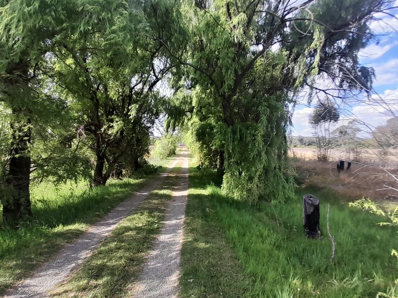 Lifestyle gem near town - Photo 3